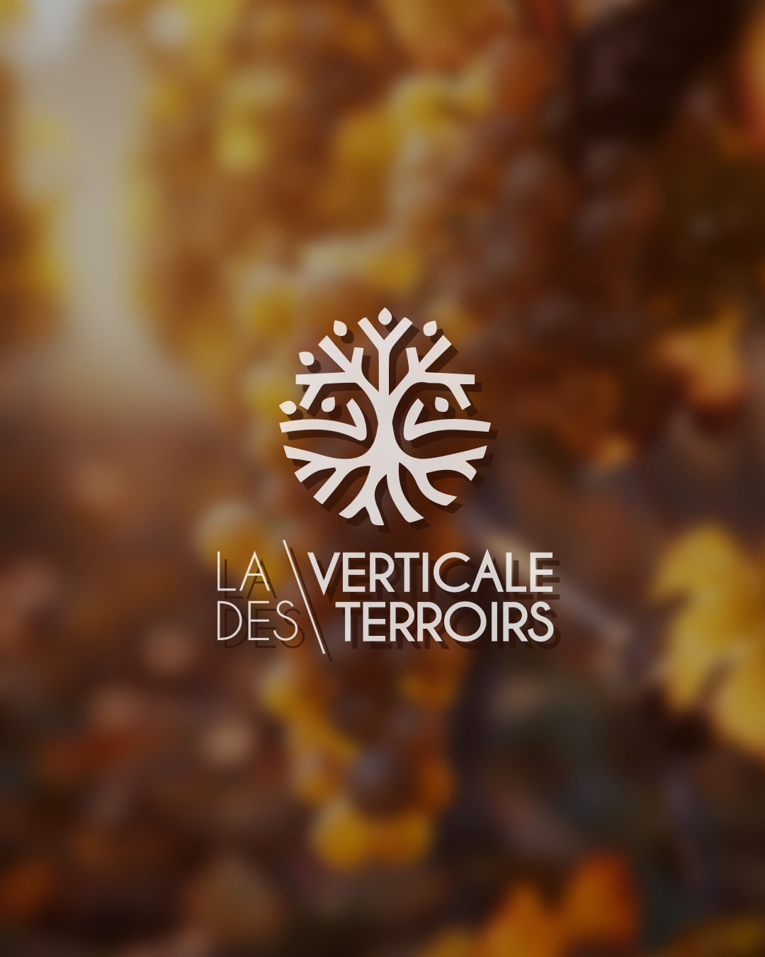 REF-VERTICALE-TERROIRS-5