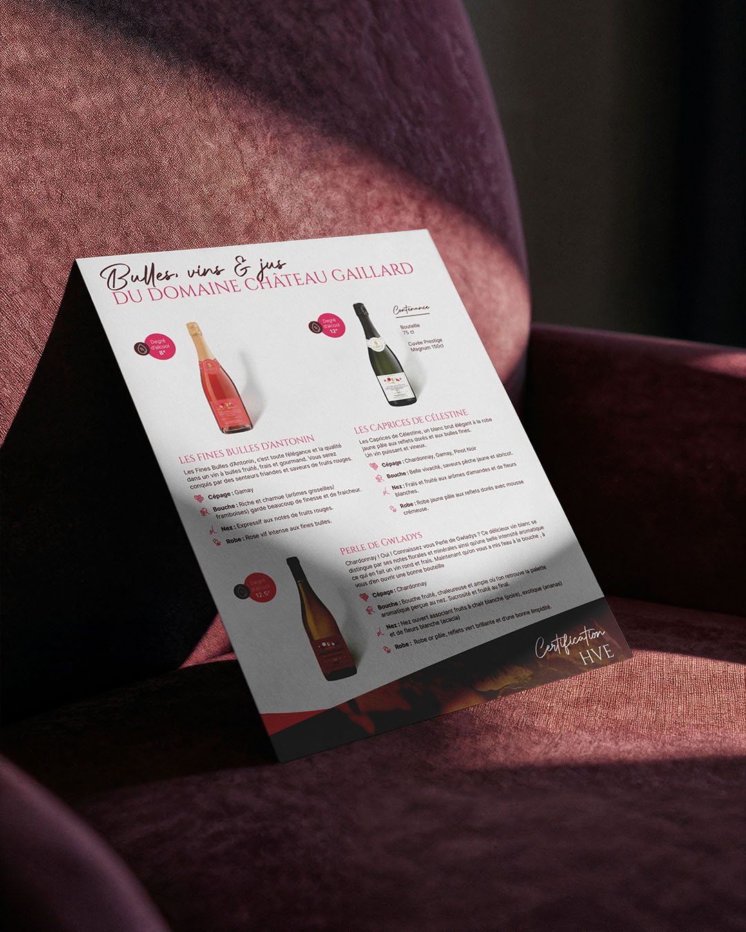 REF-CHATEAU-GAILLARD-3