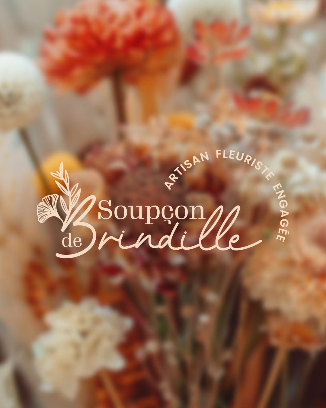 REF-SOUPCON-BRINDILLE-1